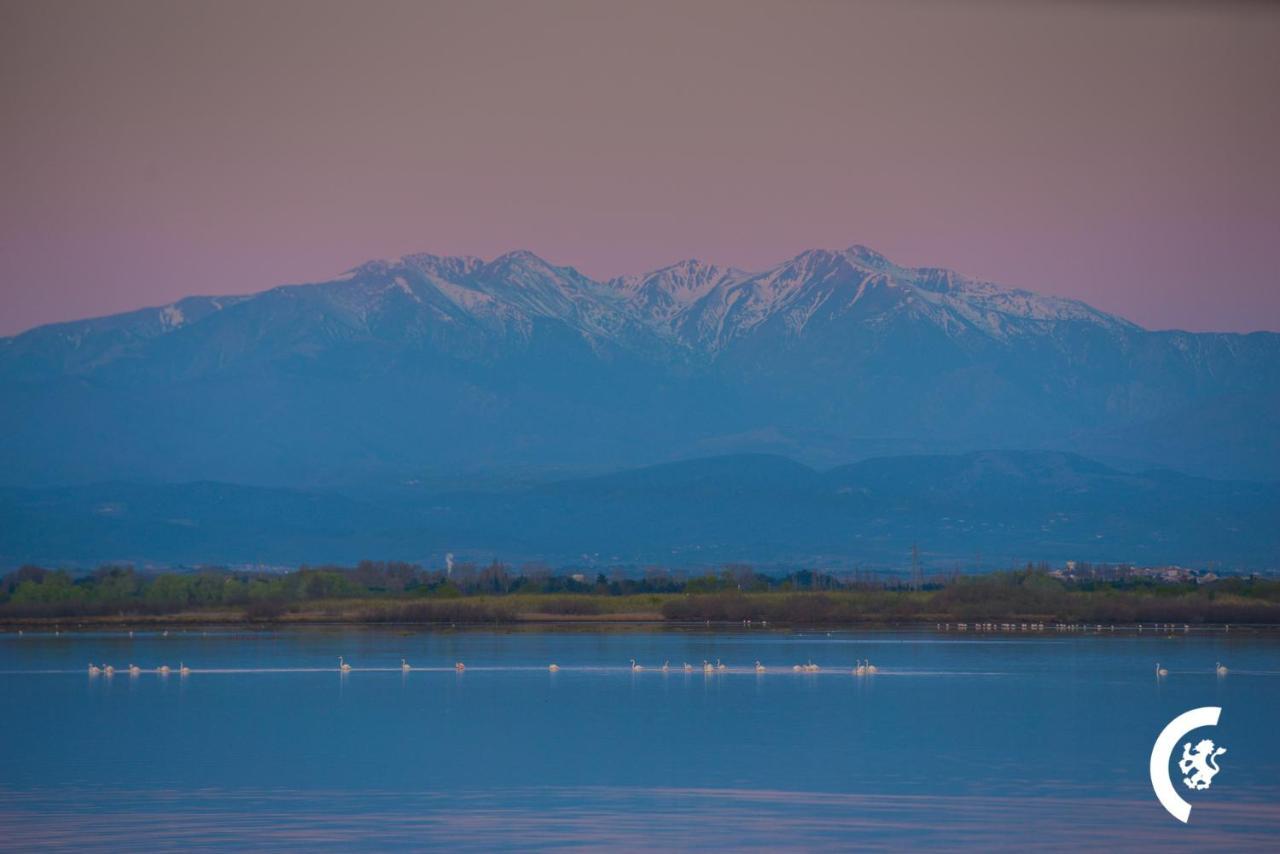 "Mer" Sejour Detente Tout Confort, Magnifique Vue Sur La Mer Canet-en-Roussillon Bagian luar foto