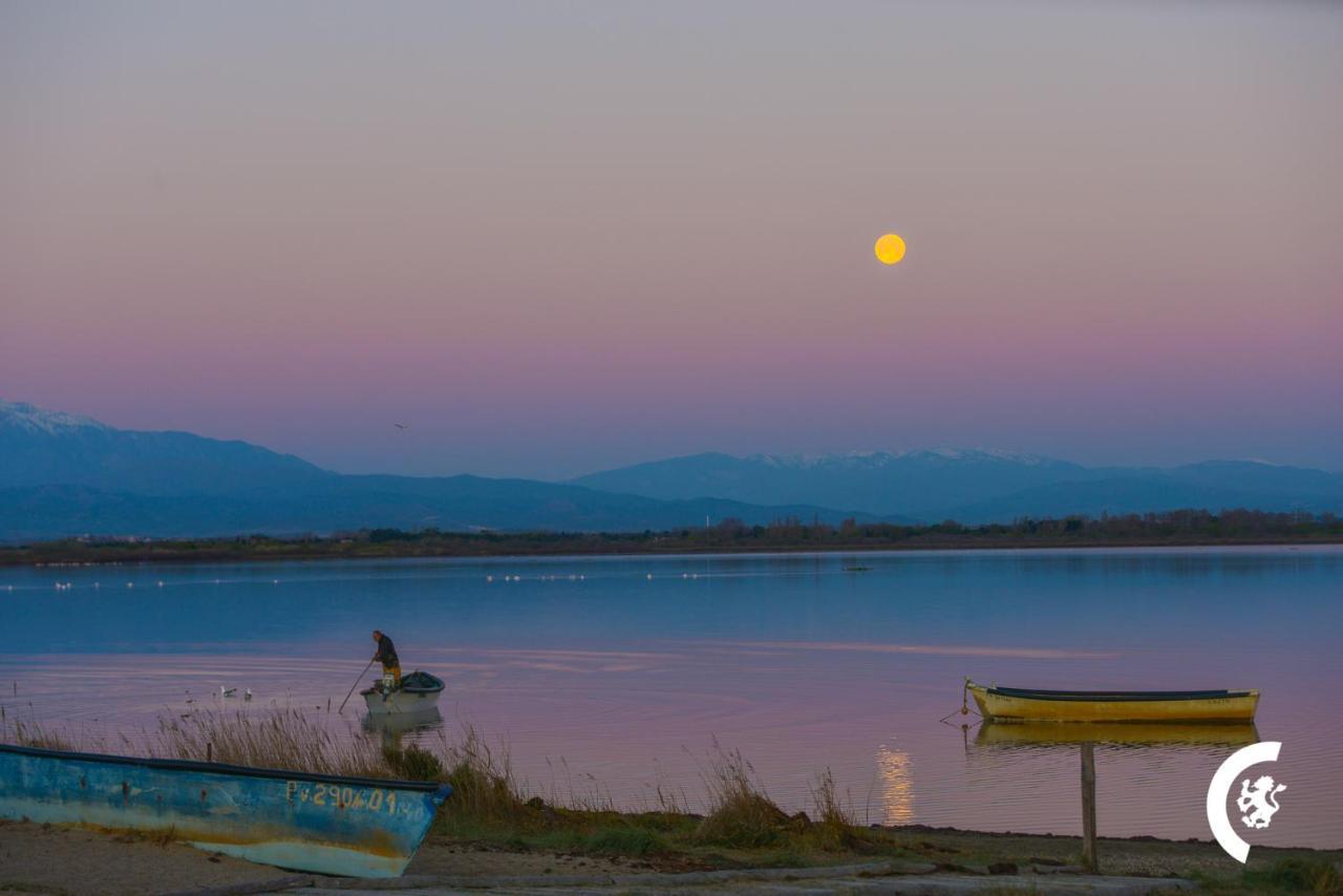 "Mer" Sejour Detente Tout Confort, Magnifique Vue Sur La Mer Canet-en-Roussillon Bagian luar foto